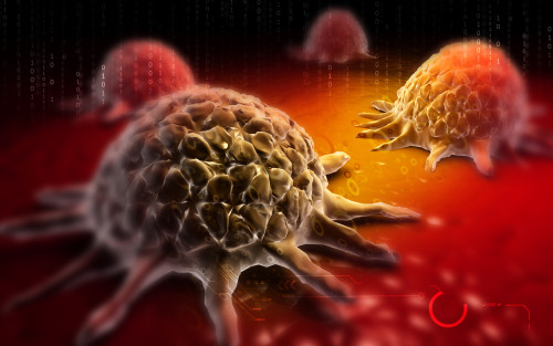 Rakovina a imunita/ilustrační foto